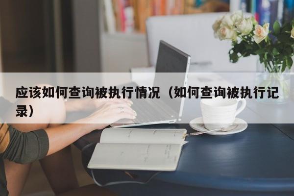 应该如何查询被执行情况（如何查询被执行记录）